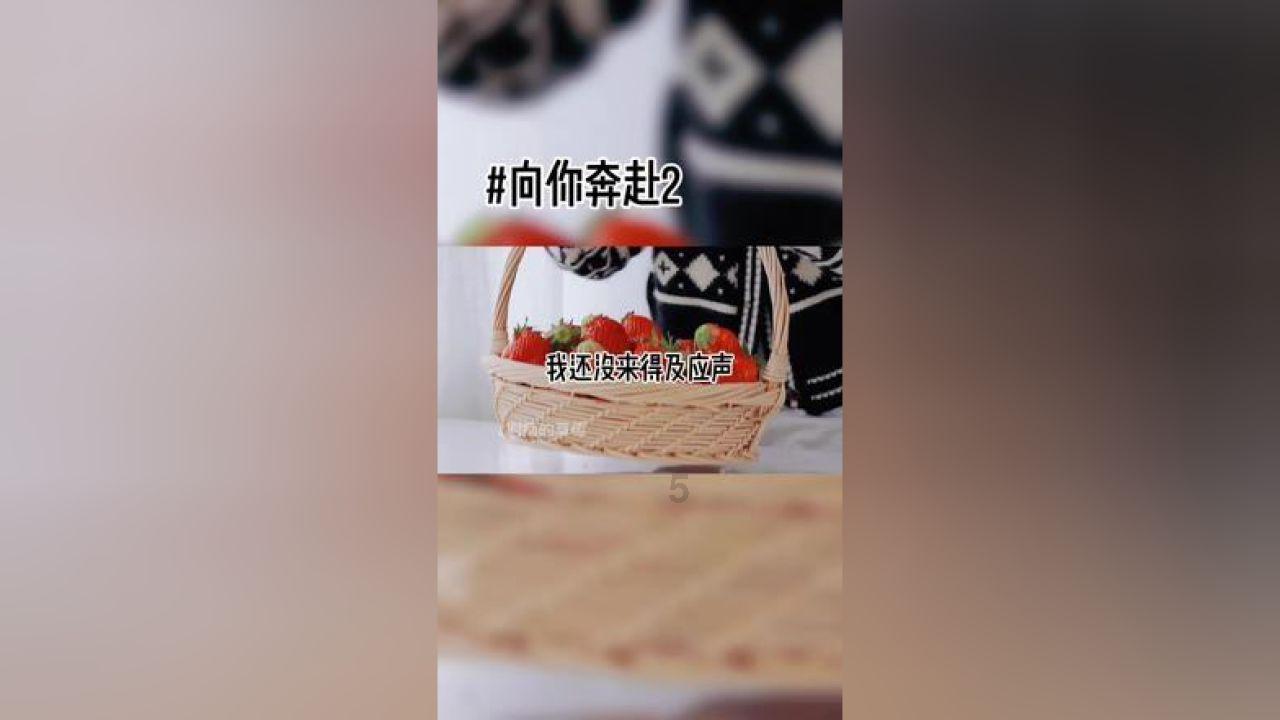 逃离魔幻猎镜
