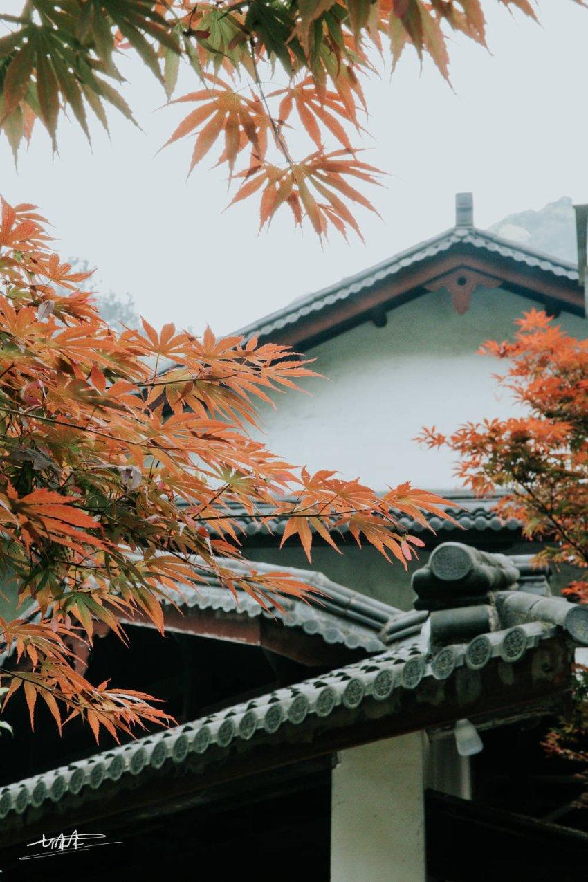瑞德的冒险之旅中文版