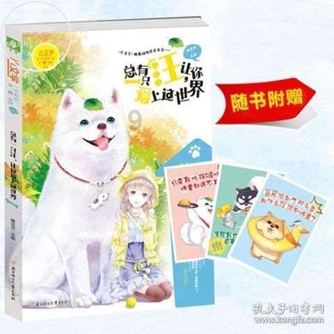 中信银行：持续加大金融支持，全面推进乡村振兴