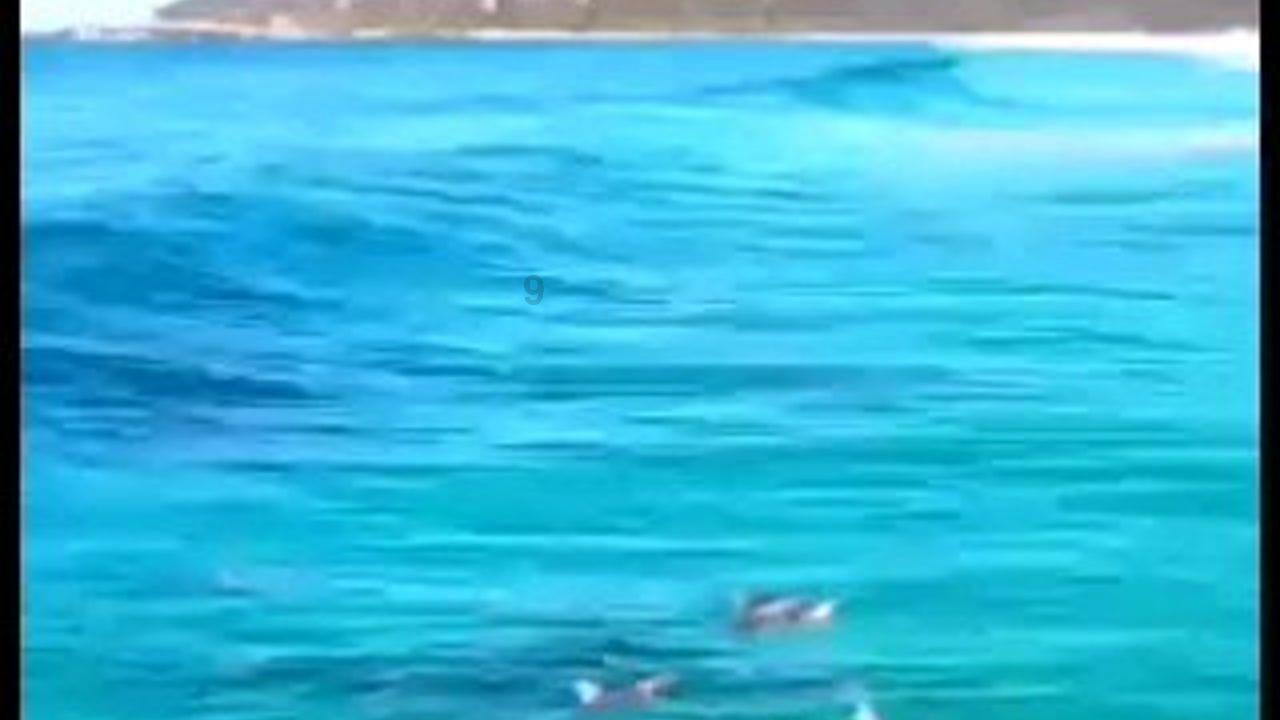 线条勾勒流畅顺滑,ID.7 VIZZION让您一眼就能种草