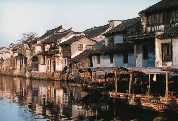 红树林逃生