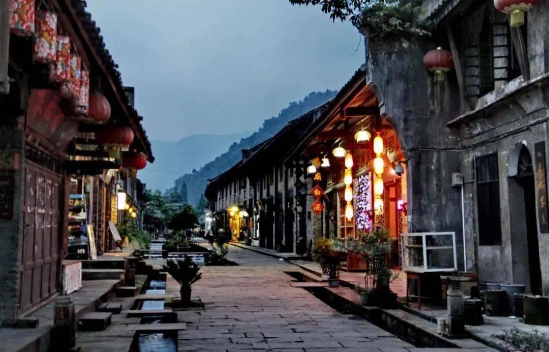 饥饿的松鼠救援
